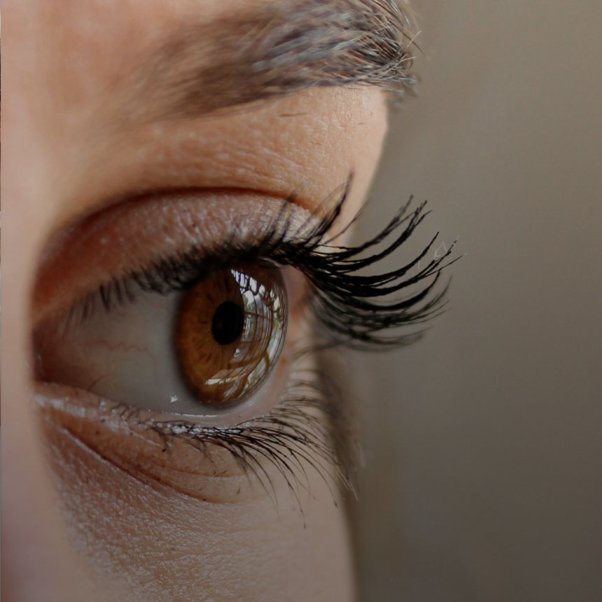 Natural Look Fake Eyelashes